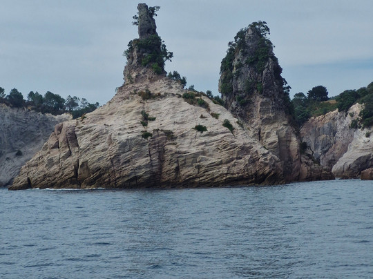 Mercury Bay Discoveries - Cathedral Cove & Coastal Tour-菲蒂昂格必去景点