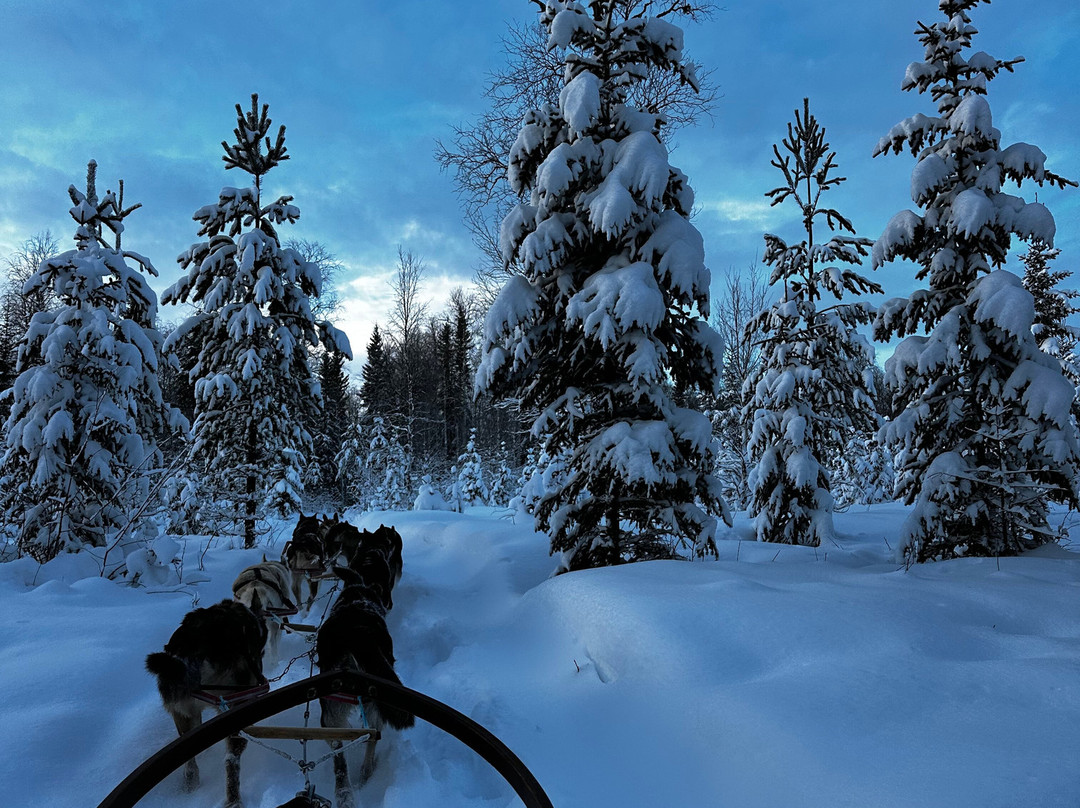 Wild Lapland-Rusktrask必去景点
