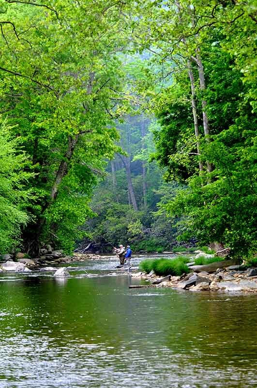 Chetola Resort主图