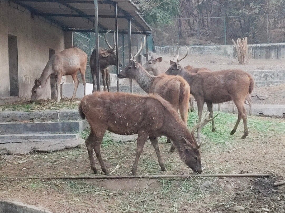 Pradyuman Park-杰拉果德必去景点