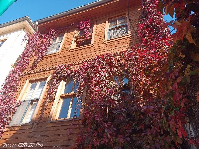 Suleymaniye Cultural Info Center-伊斯坦布尔必去景点