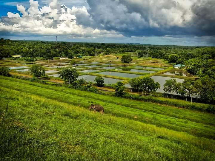 Hotel Lake Jay主图