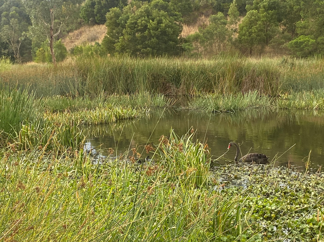 Eastone Reserve景点图片