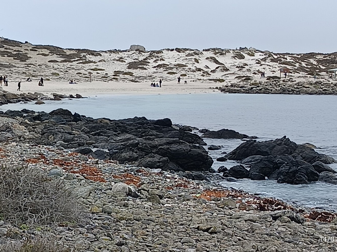 Ecoturismo La Serena-拉塞雷纳必去景点