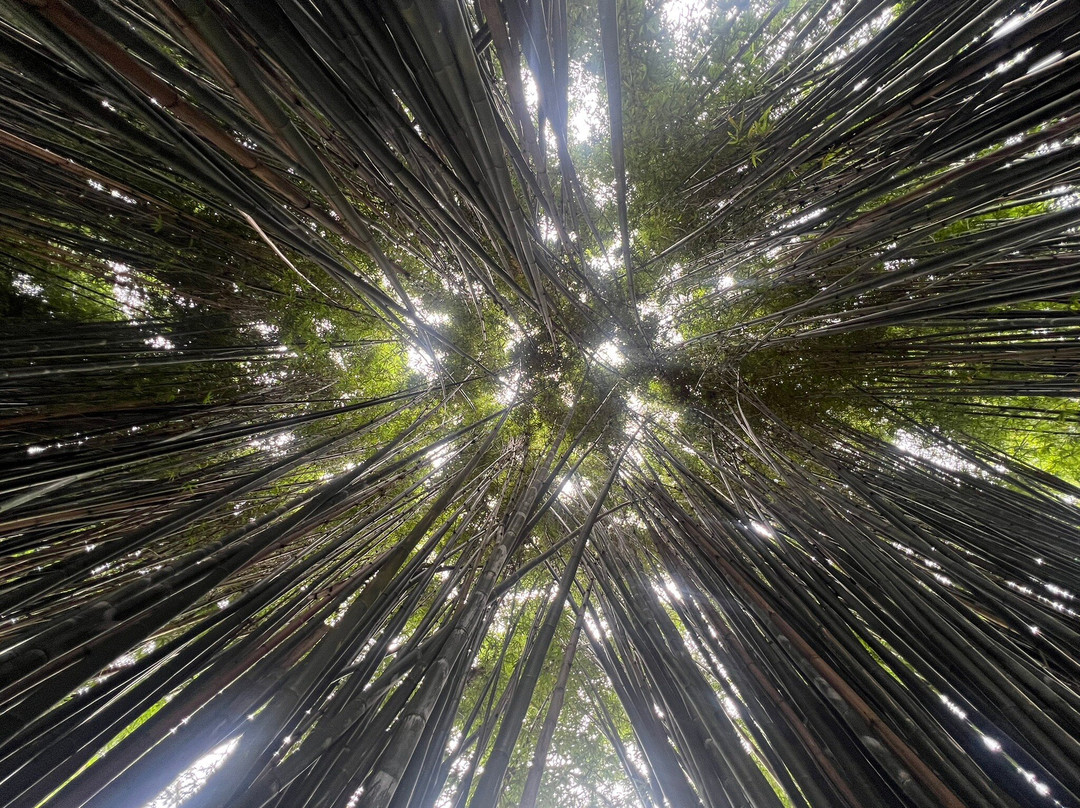 Crystal Castle & Shambhala Gardens-null必去景点