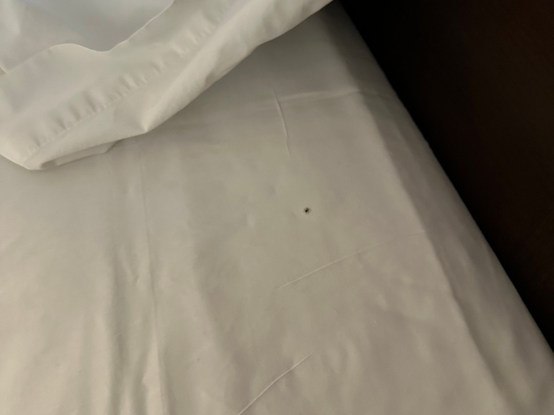 Ramada by Wyndham San Diego Poway Miramar主图