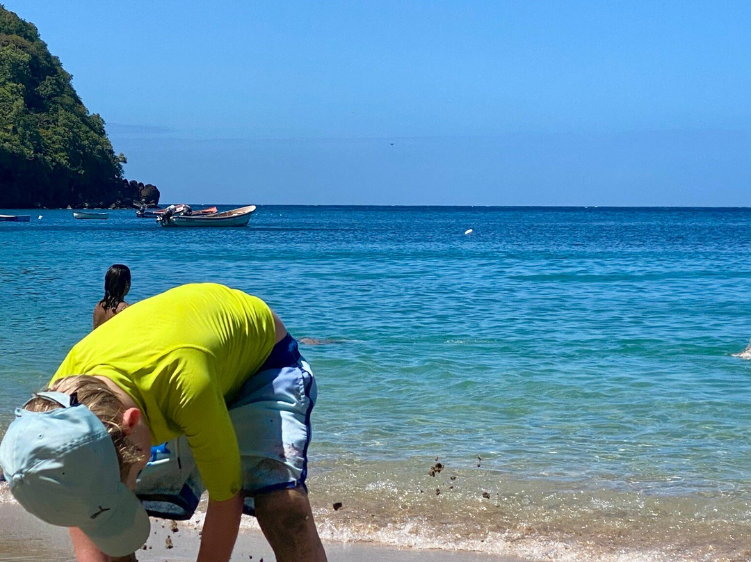 Anse Dufour-Les Anses d'Arlet必去景点