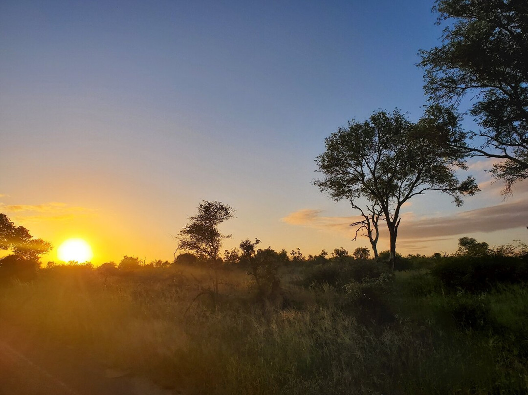 Nhongo Safaris-克鲁格国家公园必去景点