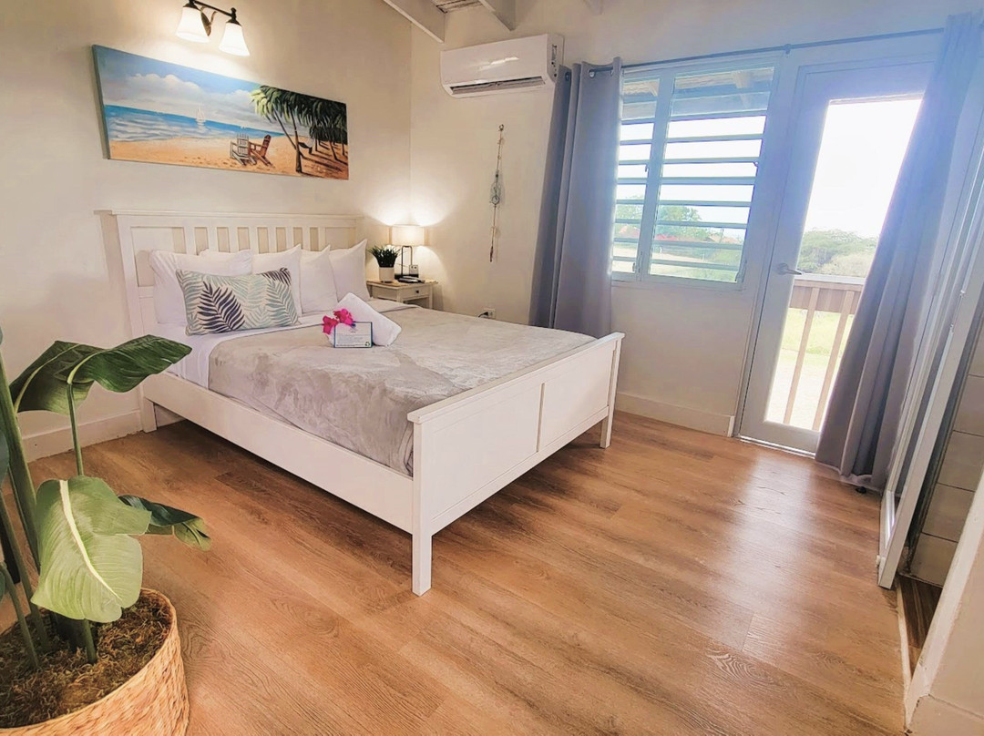 La Jamaca Hotel主图