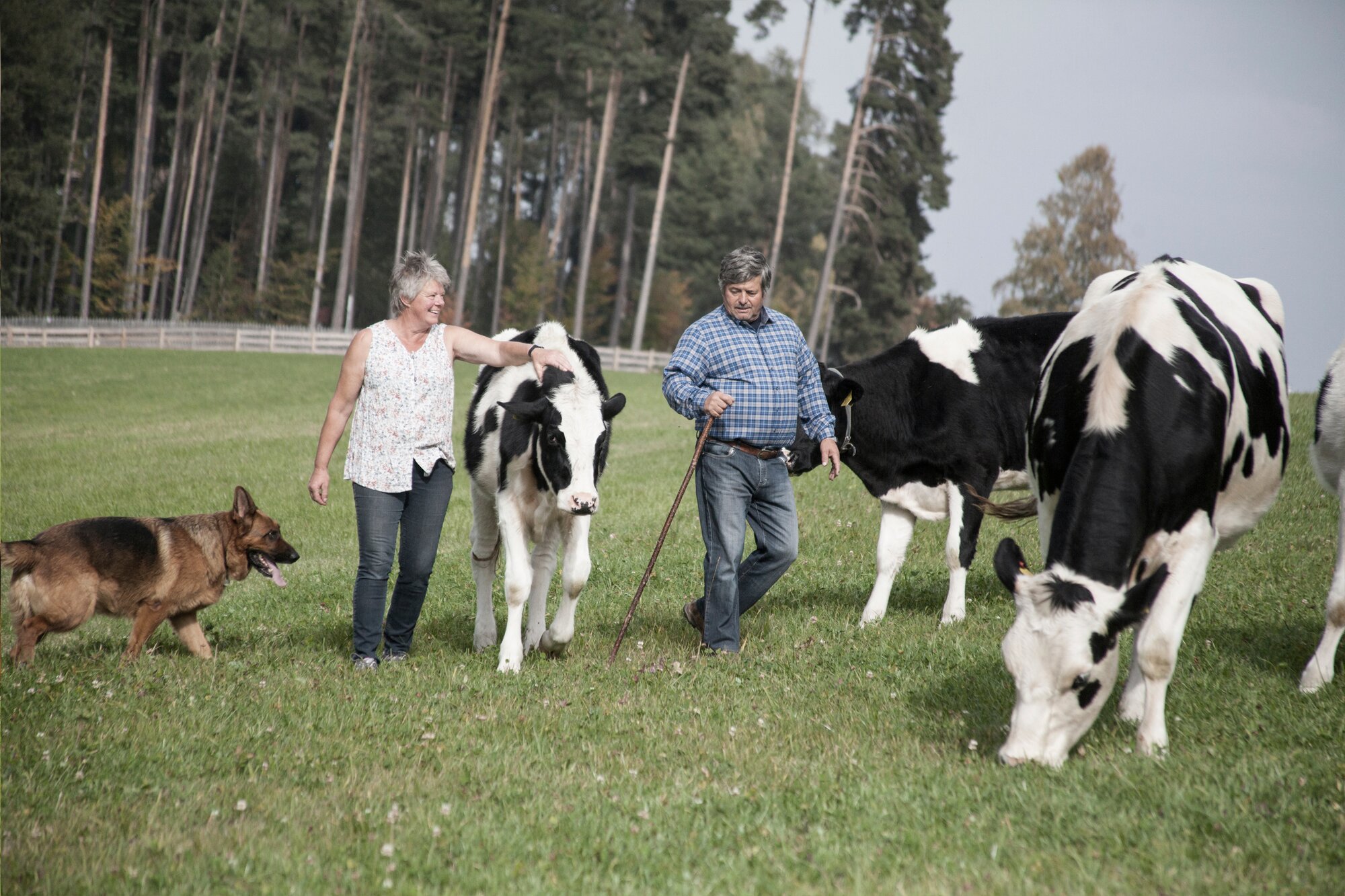 Lichtensternhof-官方