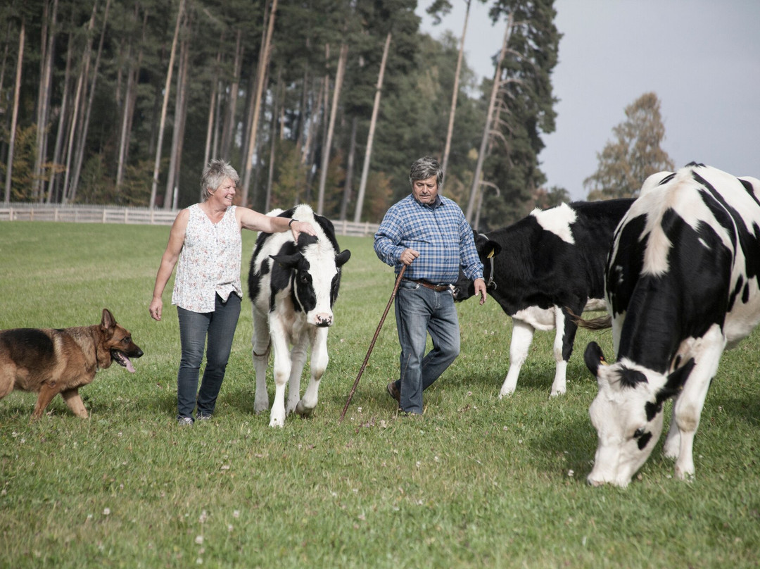 Lichtensternhof主图