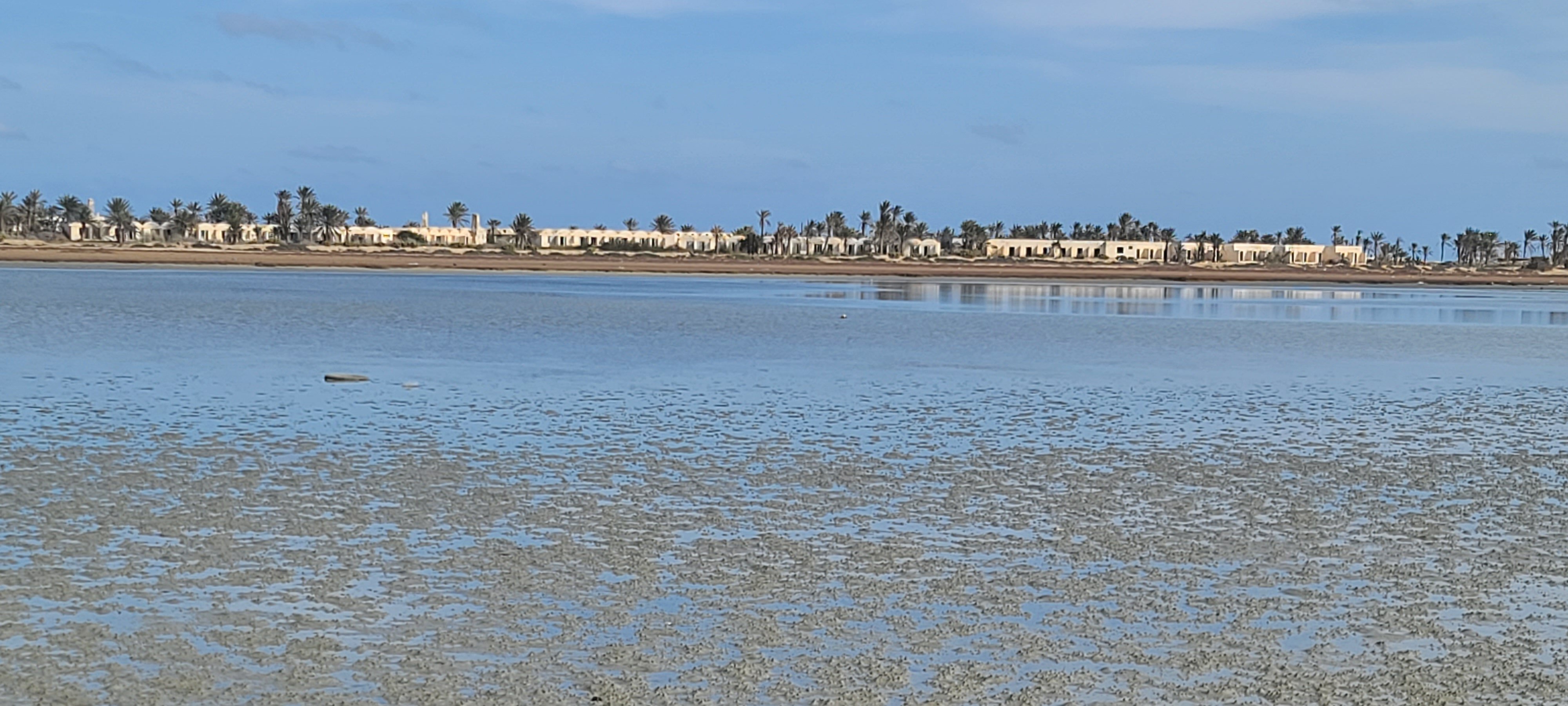 Djerba Resort-泳池