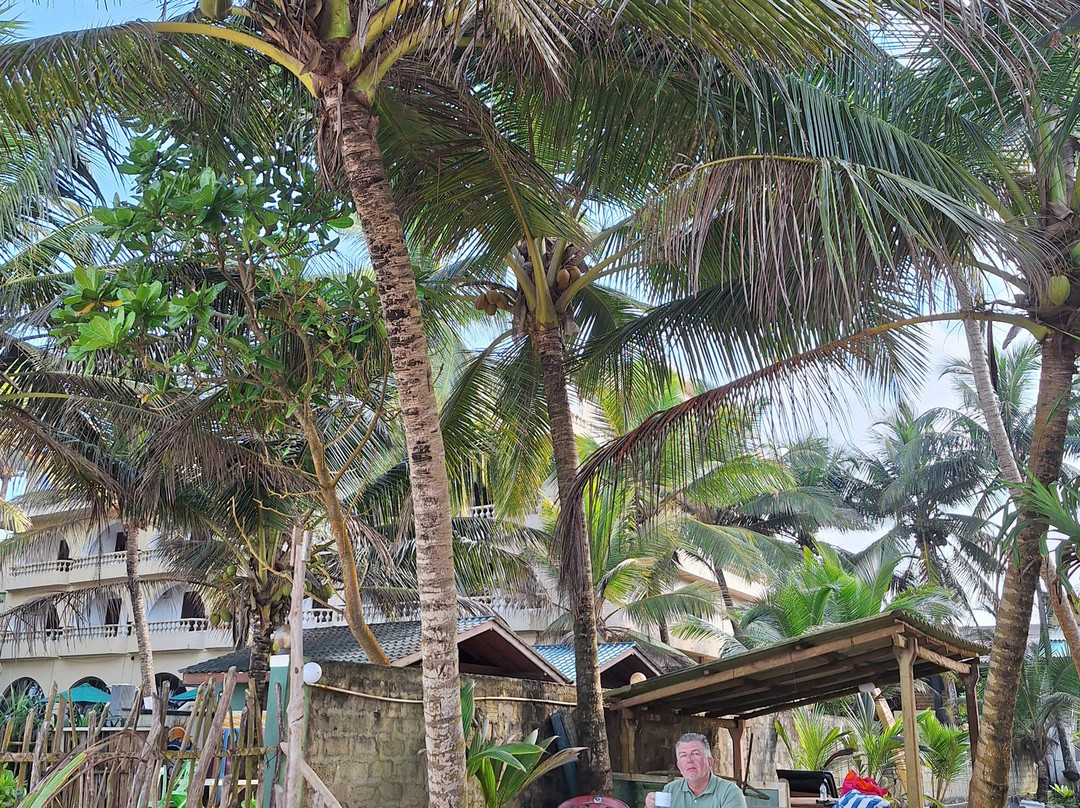 Arcade Beach Hotel主图