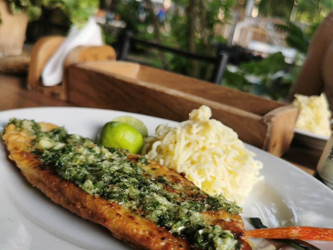 Hotel Selva Negra主图