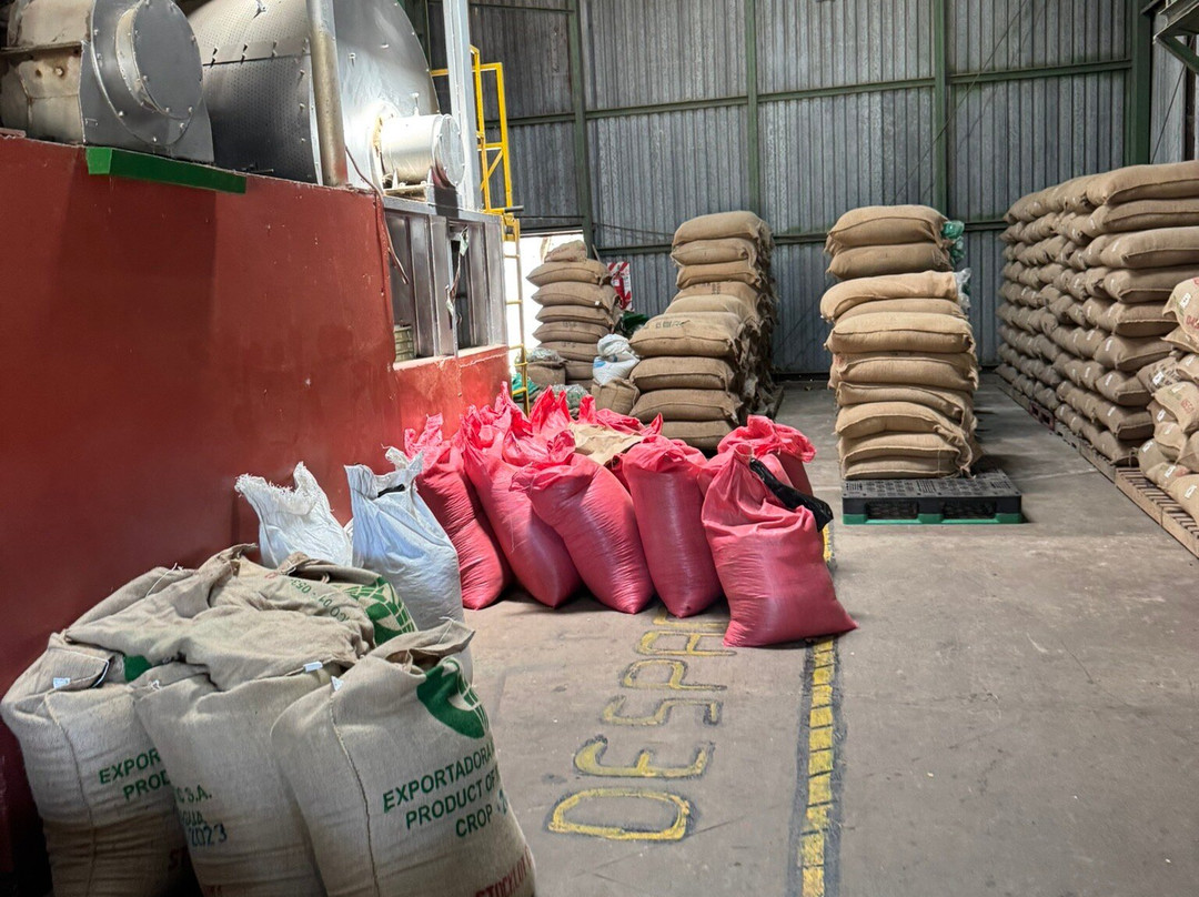 Diriá Coffee Tour景点图片
