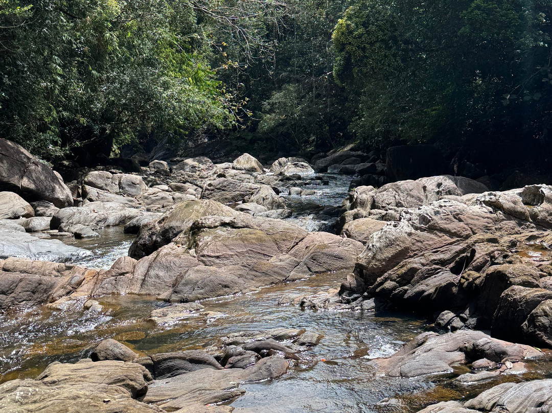 Ceylon Culture And Nature景点图片