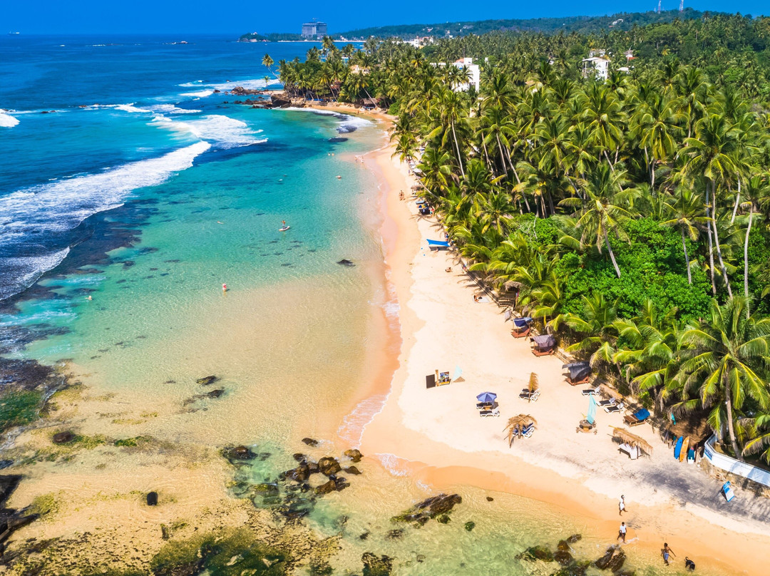 ceylon amaya tours景点图片