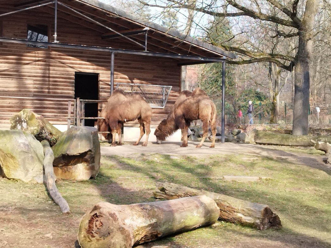 Tierpark Chemnitz-开姆尼斯必去景点