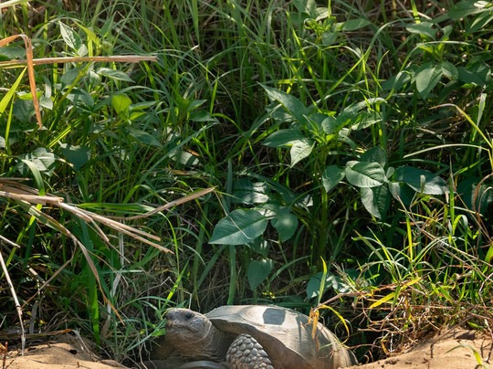 Hallstrom House Museum & Farmstead-维罗海滩必去景点