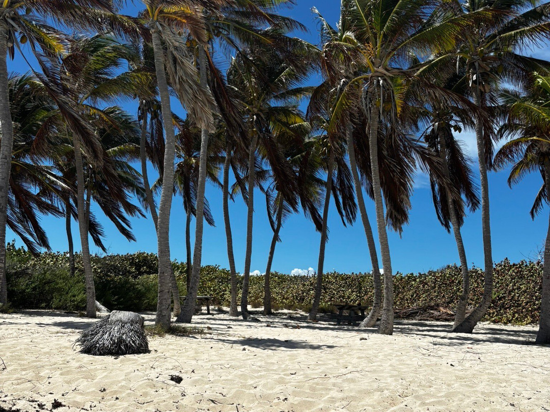 Authentique Excursion-Sainte-Anne必去景点