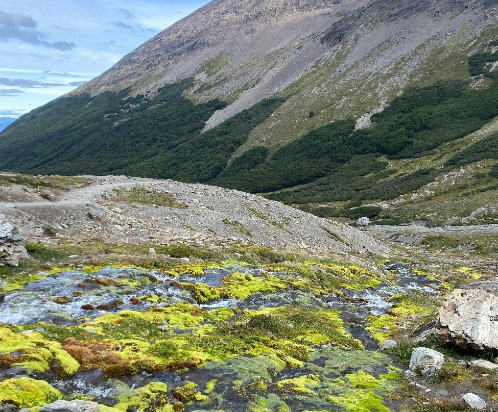 Glaciar Martial景点图片