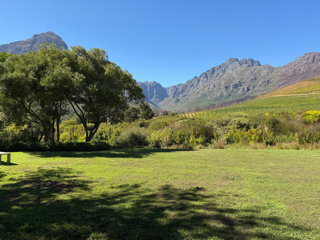Winelands Guide-斯泰伦博斯必去景点