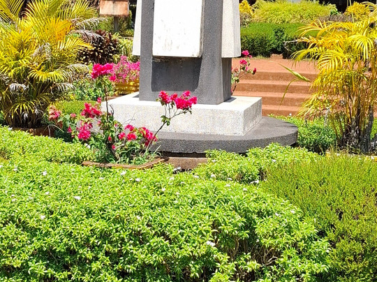 Doctor Jorge Barreto