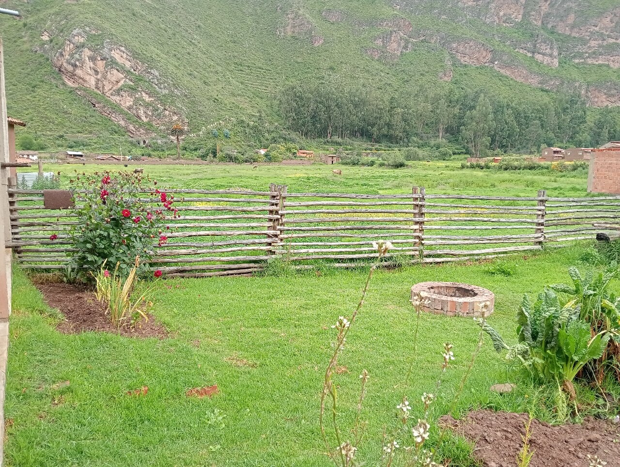 Percy's Family Home-官方