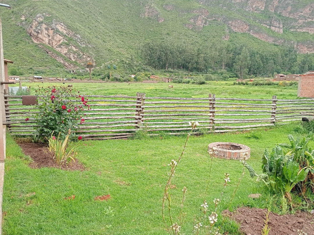 Percy's Family Home主图