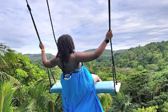 DMoses Tours and transport