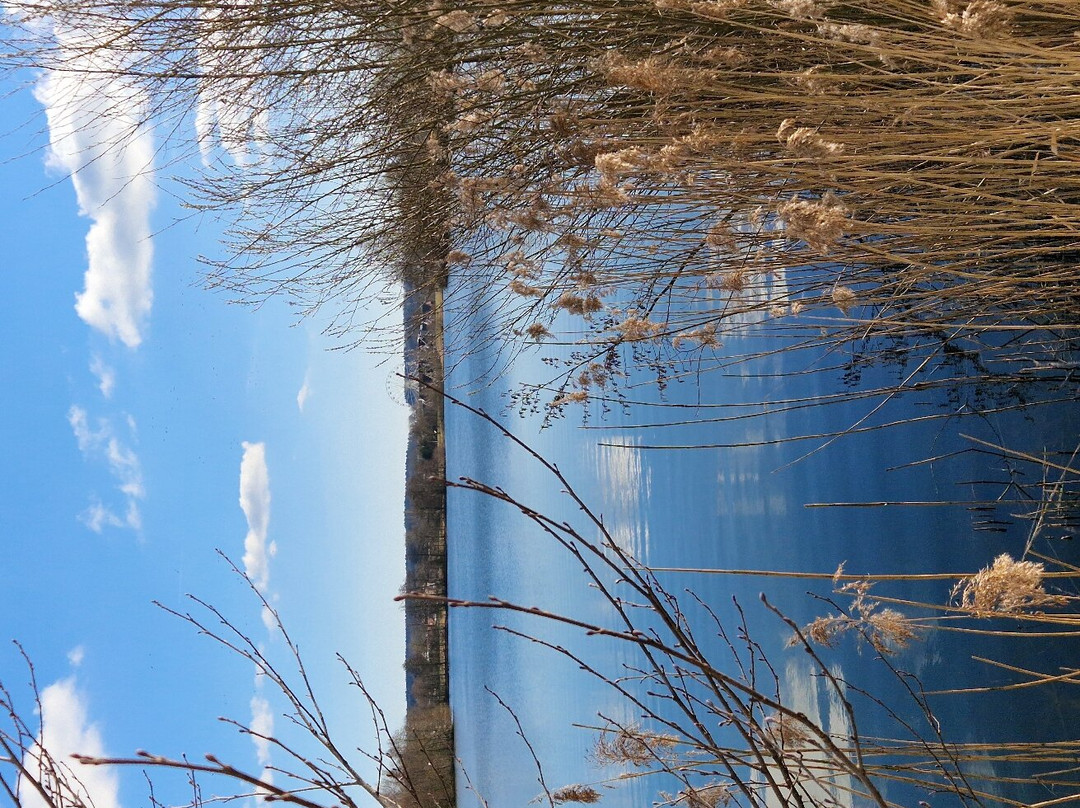 IDINGSHOF Hotel & Restaurant主图