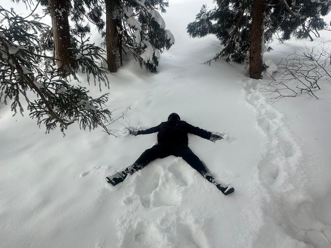 汤泽滑雪场景点图片