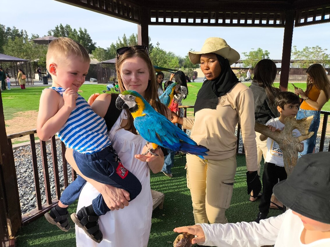 The Zoo Wild Life Park