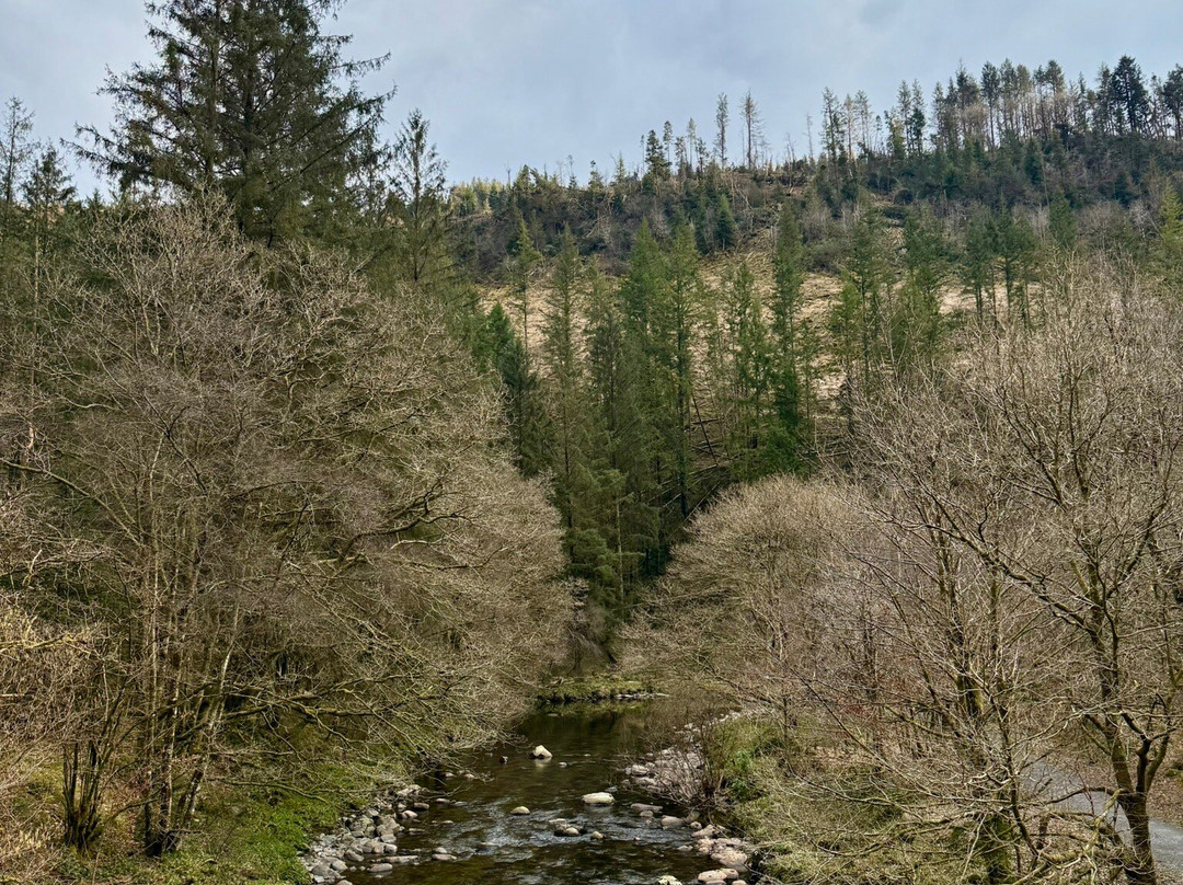 Hafod Uchtryd-阿伯里斯特威斯必去景点