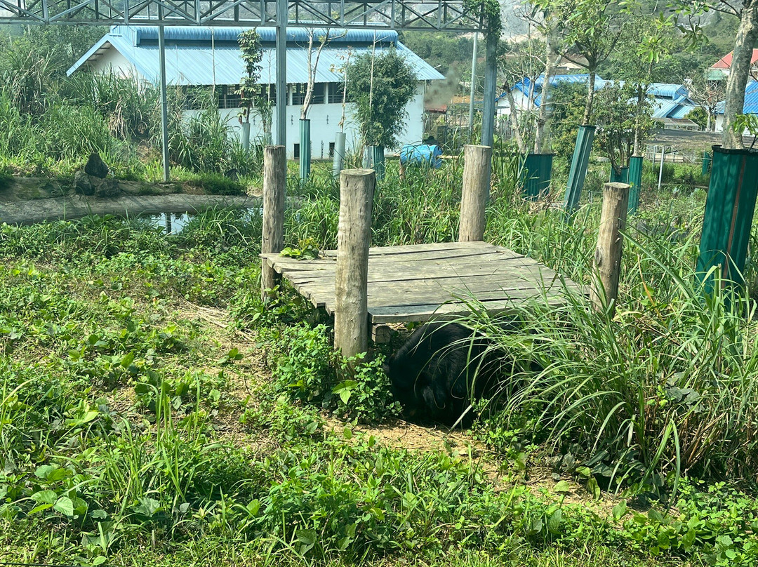 Bear Sanctuary Ninh Binh景点图片