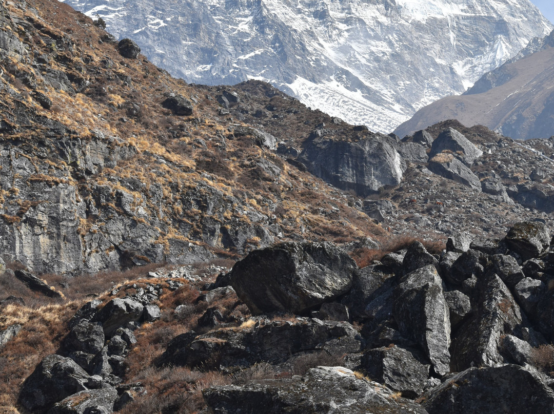Himalayan Leisure, Inc.景点图片