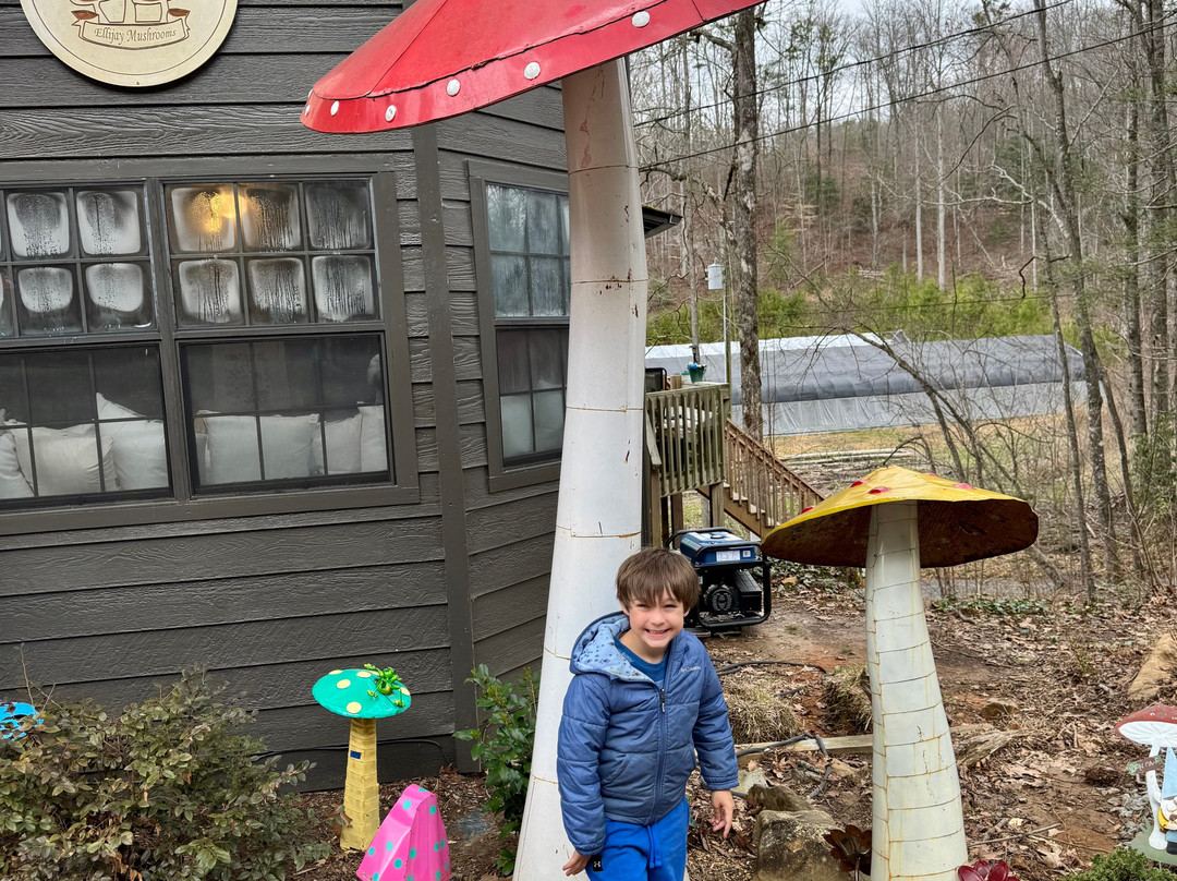 Ellijay Mushrooms - Farm Store-Ellijay必去景点