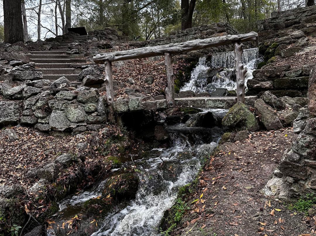Poinsett State Park-Wedgefield必去景点