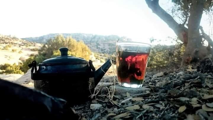 Dana Rose tours-Dana必去景点