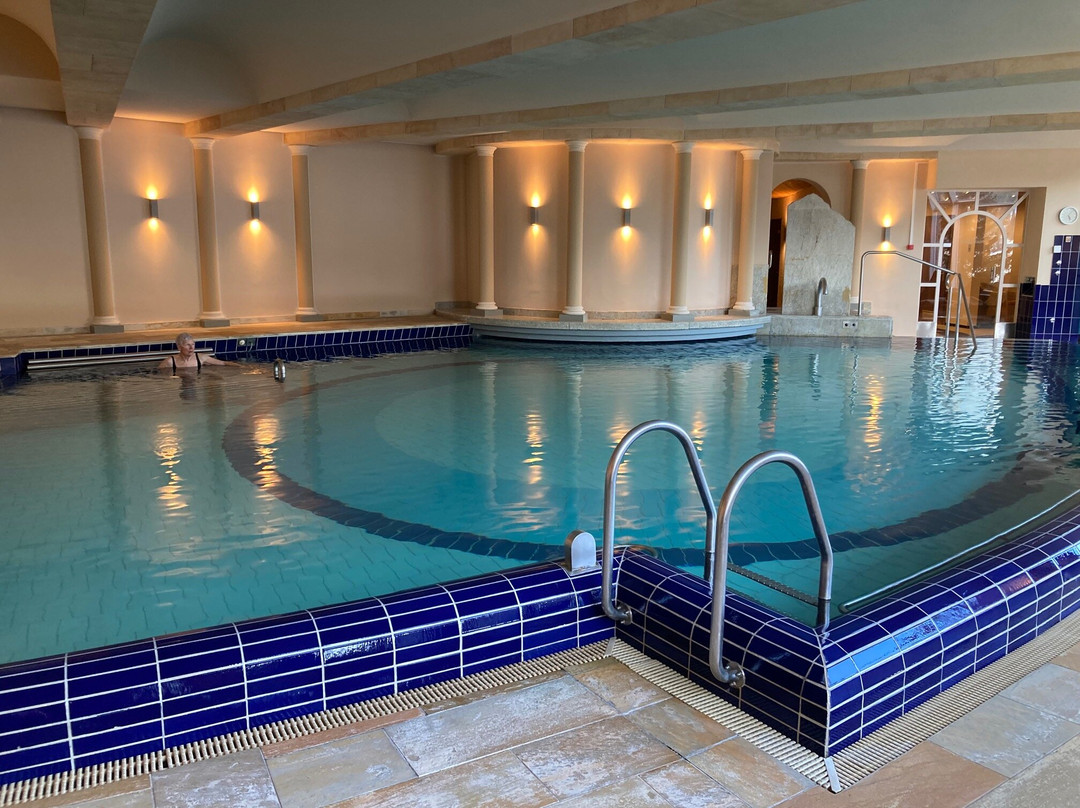 Waldhotel Davos for Body & Soul主图