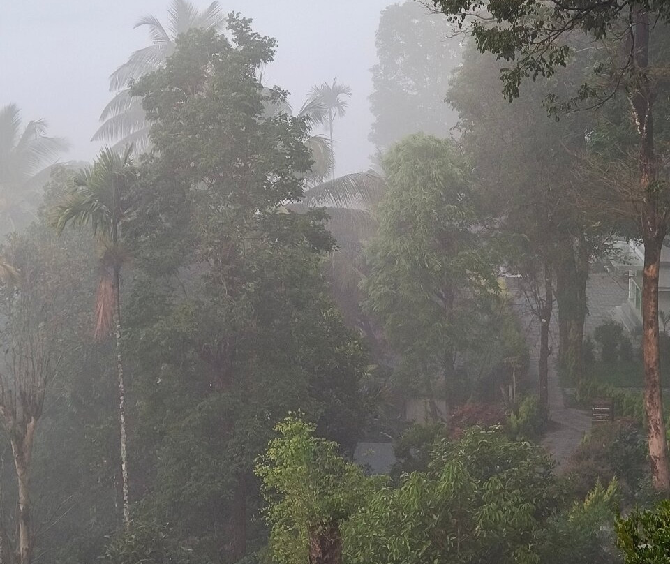 伍德罗斯度假村主图