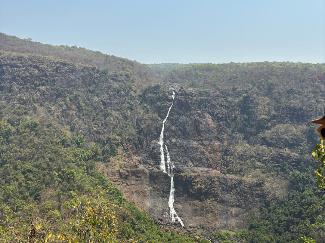 Shimlipal National Park景点图片