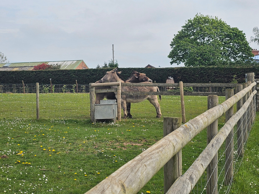 Top Barn Farm Shop & Farm Park-伍斯特必去景点