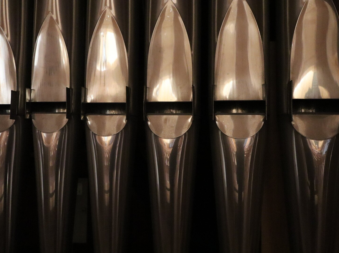 Chiesa del Santo Volto景点图片