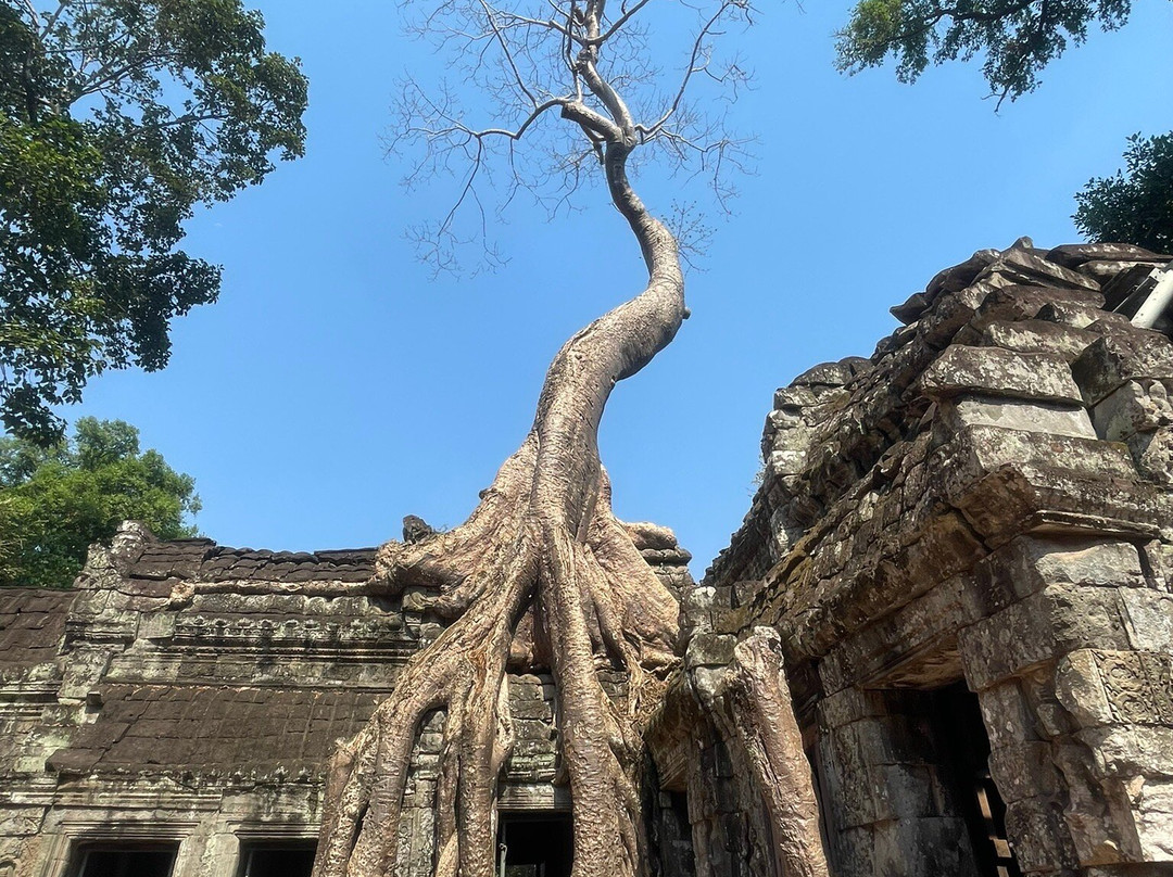 Viti's Siem Reap Private Driver-暹粒必去景点