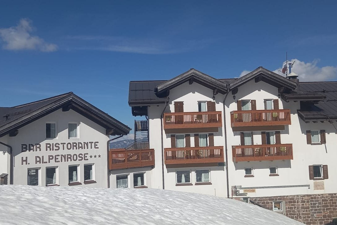 Hotel Alpenrose主图