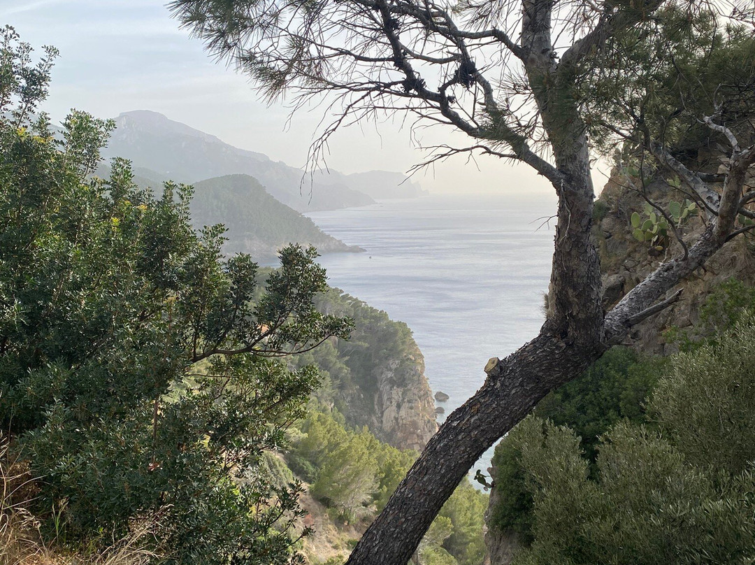 Torre del Verger-Banyalbufar必去景点