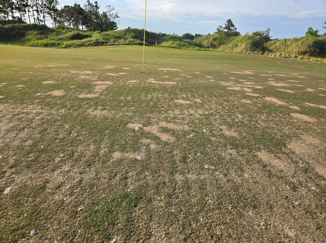 Windswept Dunes Golfcourse-Freeport必去景点