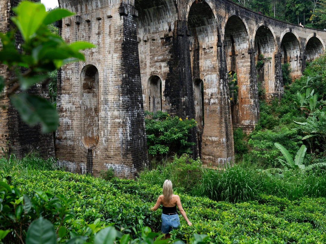 Alpine Activities-埃勒必去景点