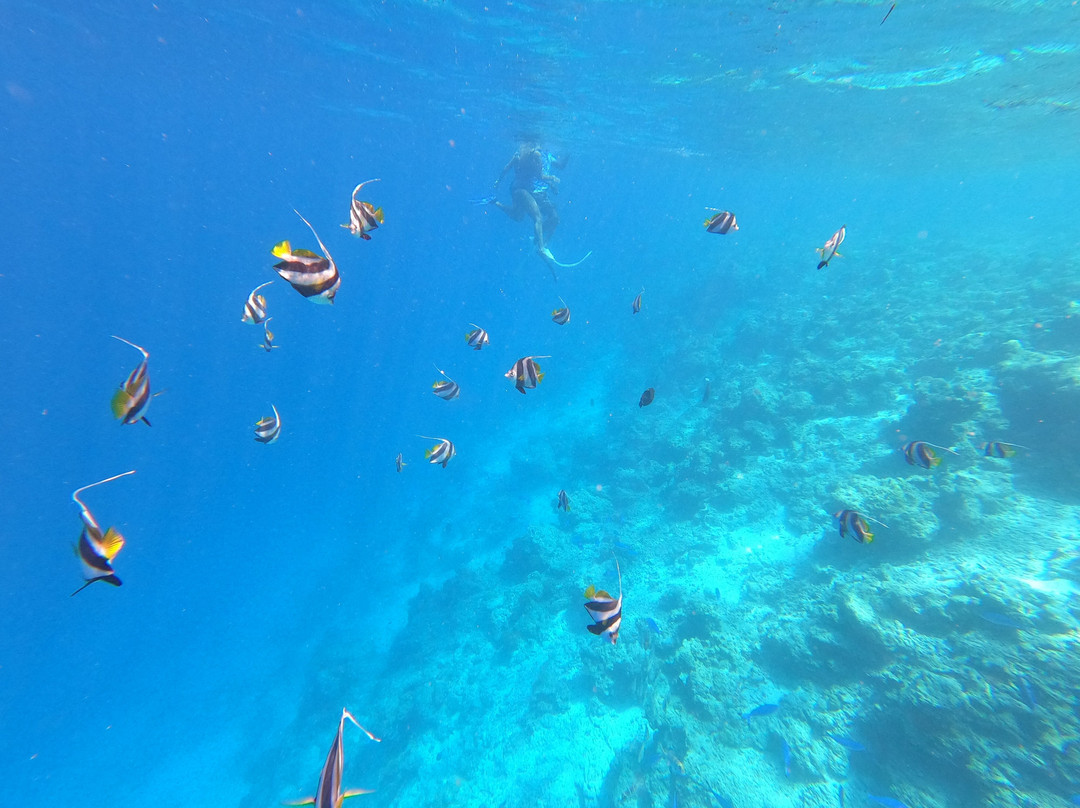 Guraidhoo Excursions & Water Sports景点图片